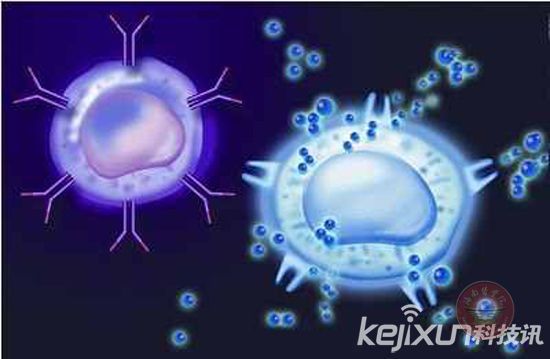 科学家发现新型毒素 可阻断DNA复制抑制细菌生长